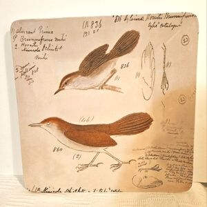 RAZ IMPORTS Set (2) of Melamine Trays With Birds, Graphics 13" x 13" Squa…